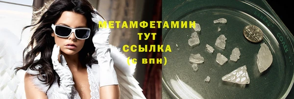 прущие грибы Балахна