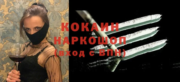 гашик Белокуриха