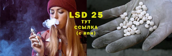 прущие грибы Балахна