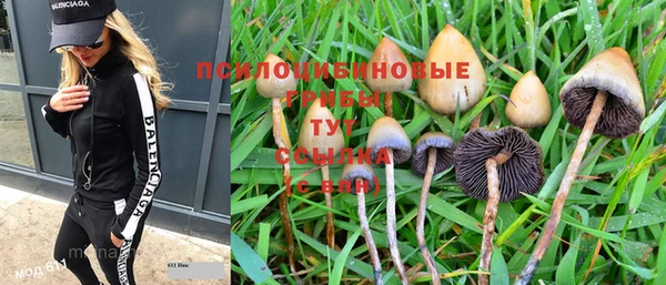 прущие грибы Балахна