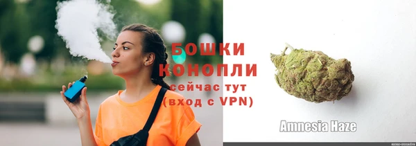 прущие грибы Балахна