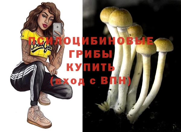 метадон Беломорск