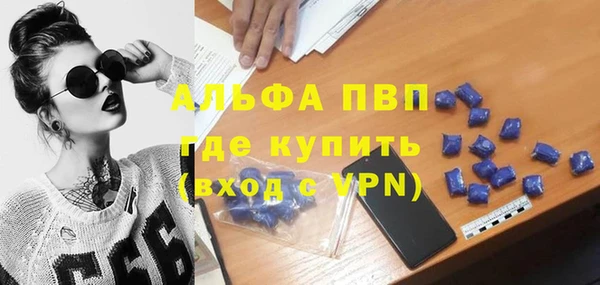 прущие грибы Балахна