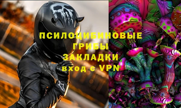 гашик Белокуриха